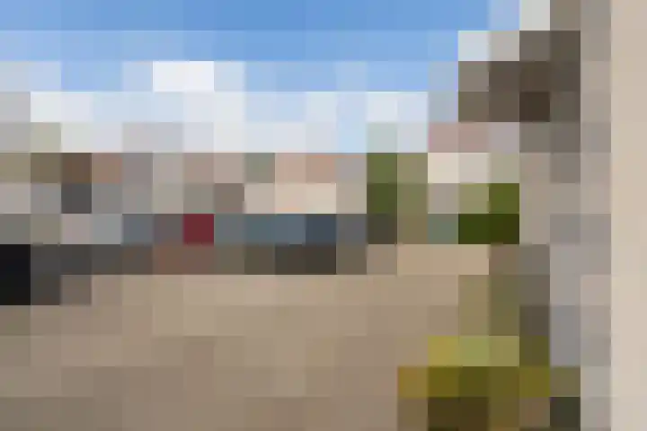 Koraalrood 42 Zoetermeer thumbnail 10