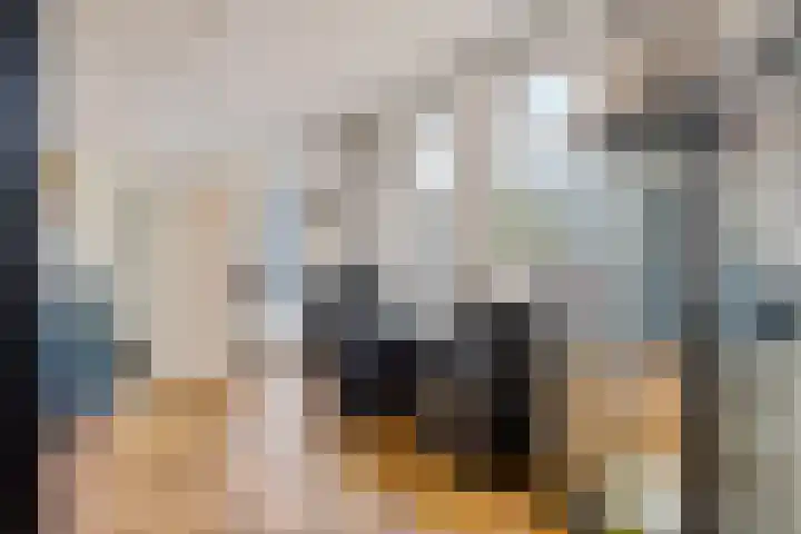 Koraalrood 42 Zoetermeer thumbnail 15