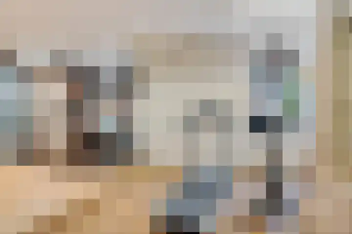 Koraalrood 42 Zoetermeer thumbnail 17