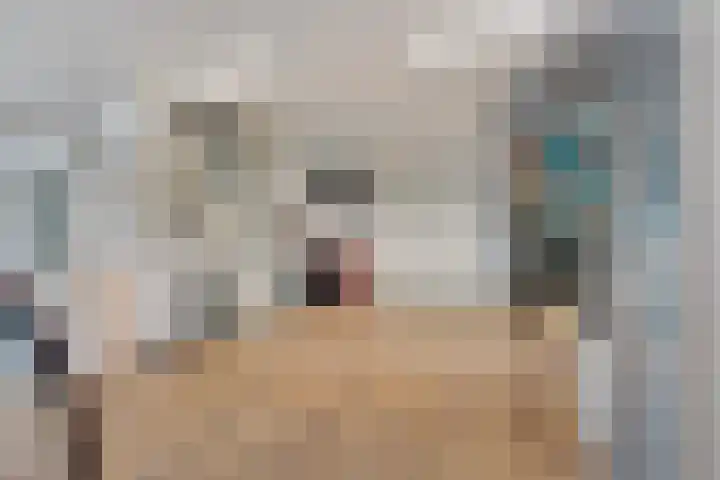 Koraalrood 42 Zoetermeer thumbnail 18