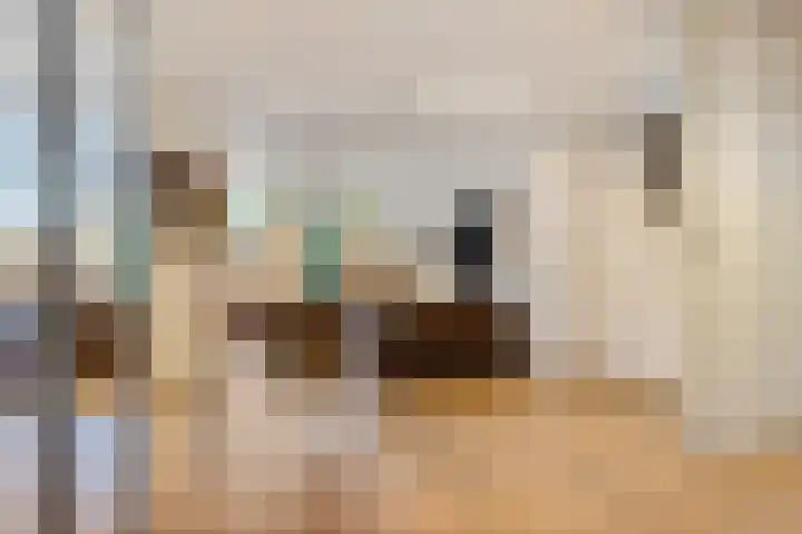 Koraalrood 42 Zoetermeer thumbnail 21