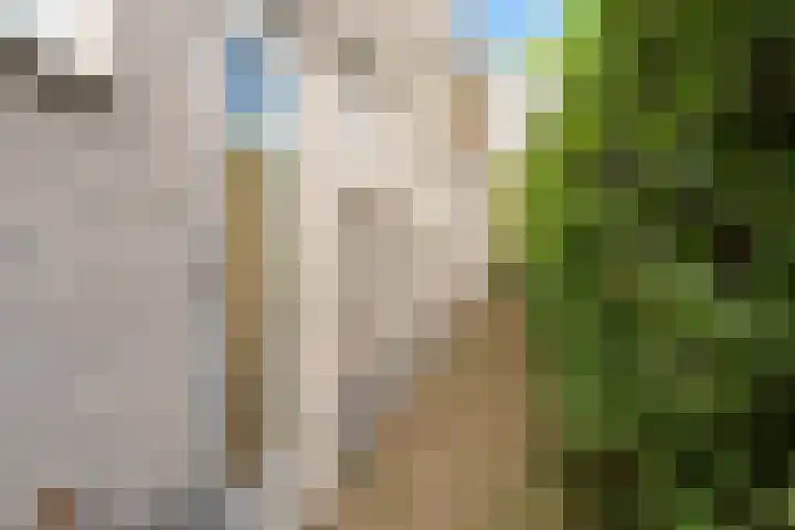 Koraalrood 42 Zoetermeer thumbnail 27