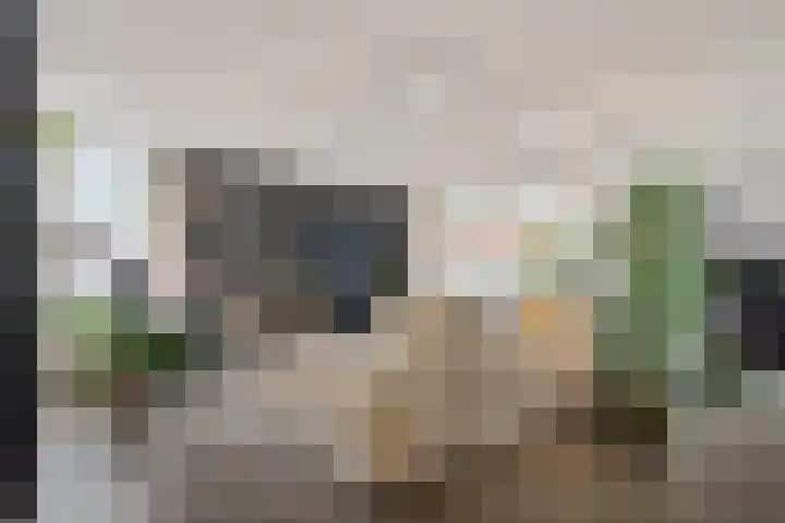 Koraalrood 42 Zoetermeer thumbnail 30