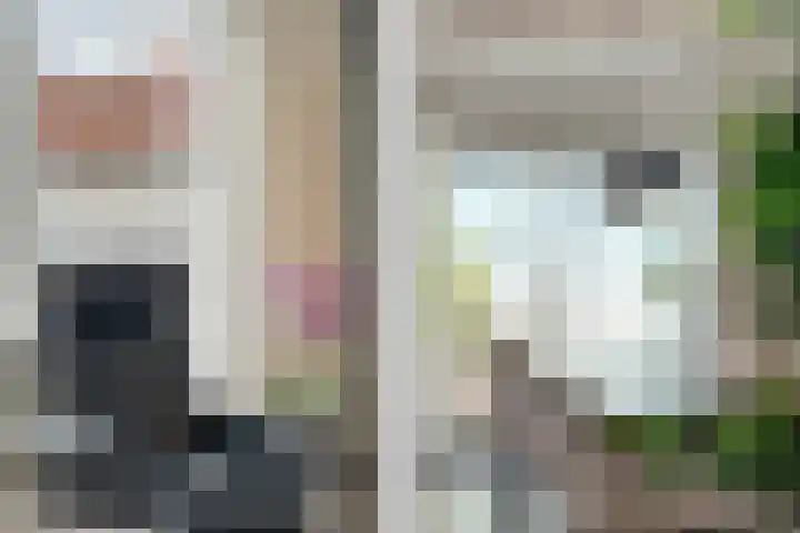 Koraalrood 42 Zoetermeer thumbnail 34