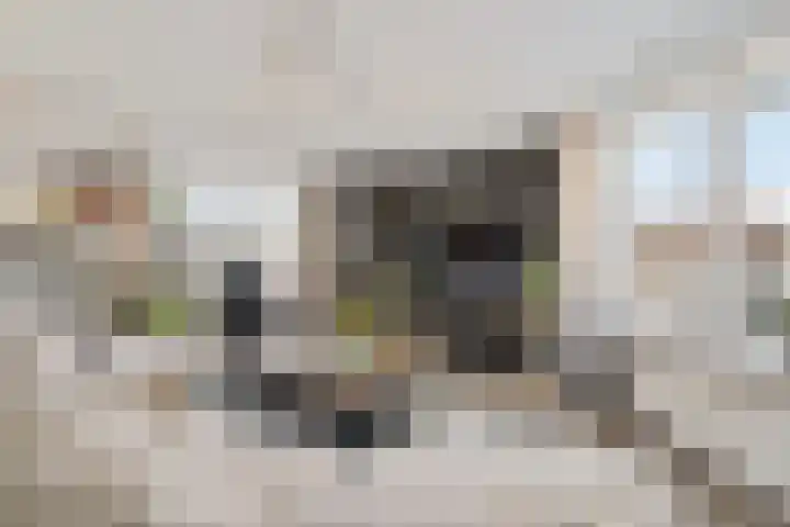 Koraalrood 42 Zoetermeer thumbnail 36