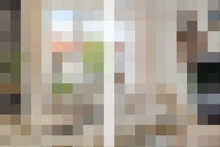 Koraalrood 42 Zoetermeer thumbnail 37
