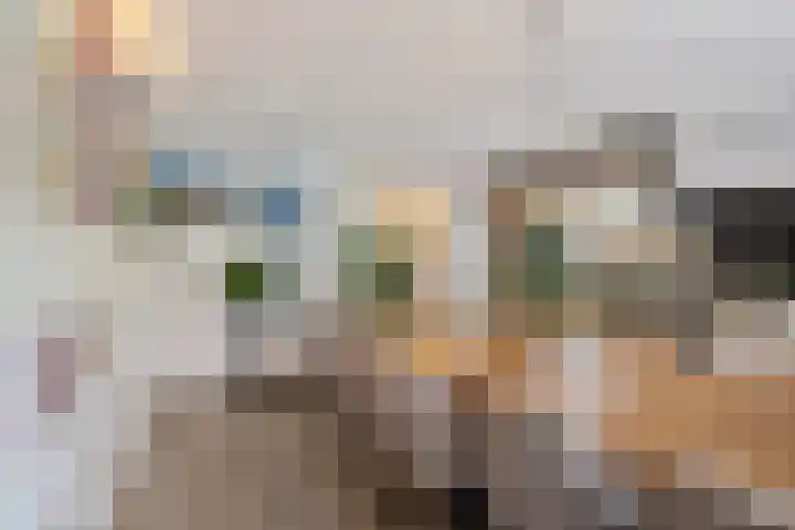 Koraalrood 42 Zoetermeer thumbnail 39