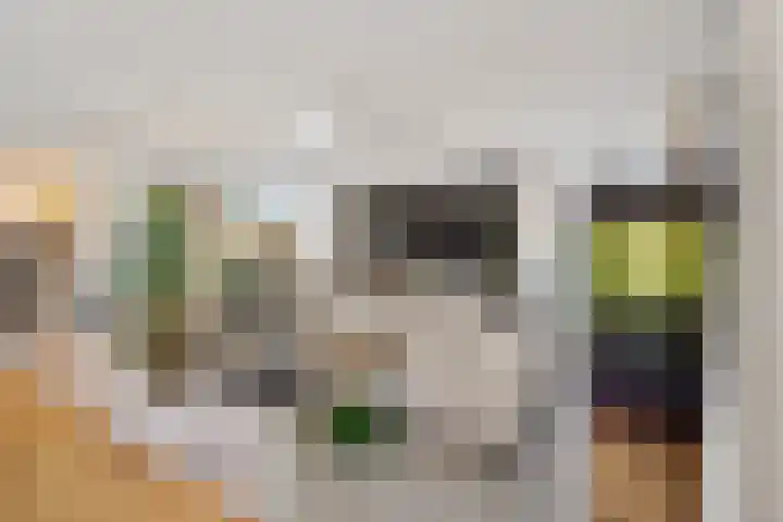 Koraalrood 42 Zoetermeer thumbnail 40