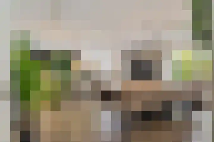 Koraalrood 42 Zoetermeer thumbnail 41