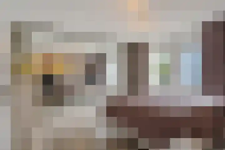 Koraalrood 42 Zoetermeer thumbnail 48