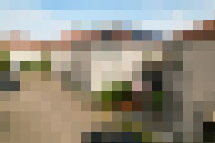 Koraalrood 42 Zoetermeer thumbnail 5