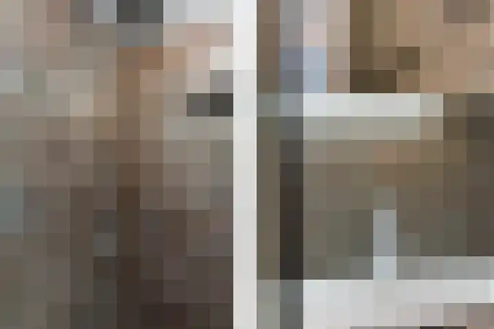 Koraalrood 42 Zoetermeer thumbnail 54