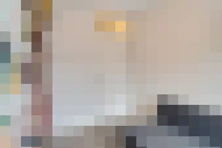 Koraalrood 42 Zoetermeer thumbnail 58