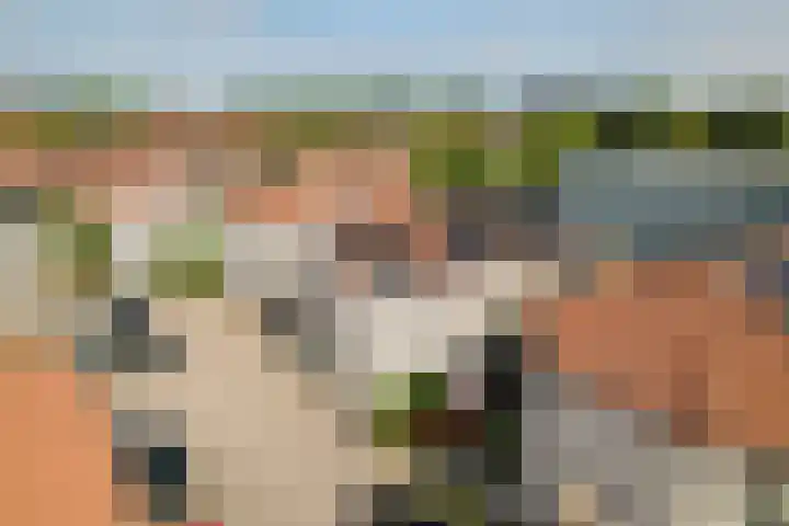 Koraalrood 42 Zoetermeer thumbnail 6
