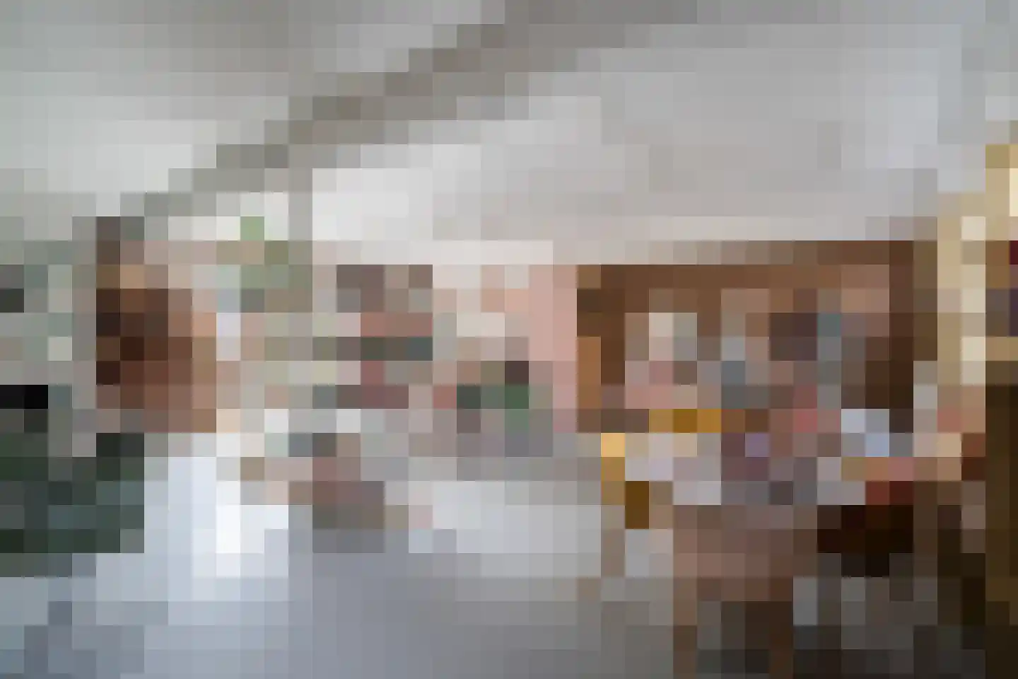 Koraalrood 46 Zoetermeer thumbnail 12
