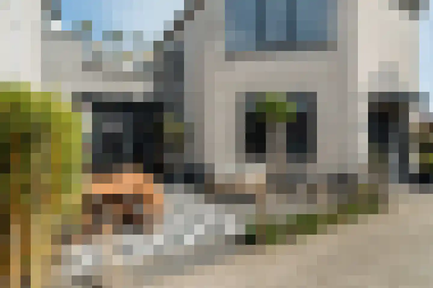 Koraalrood 46 Zoetermeer thumbnail 15