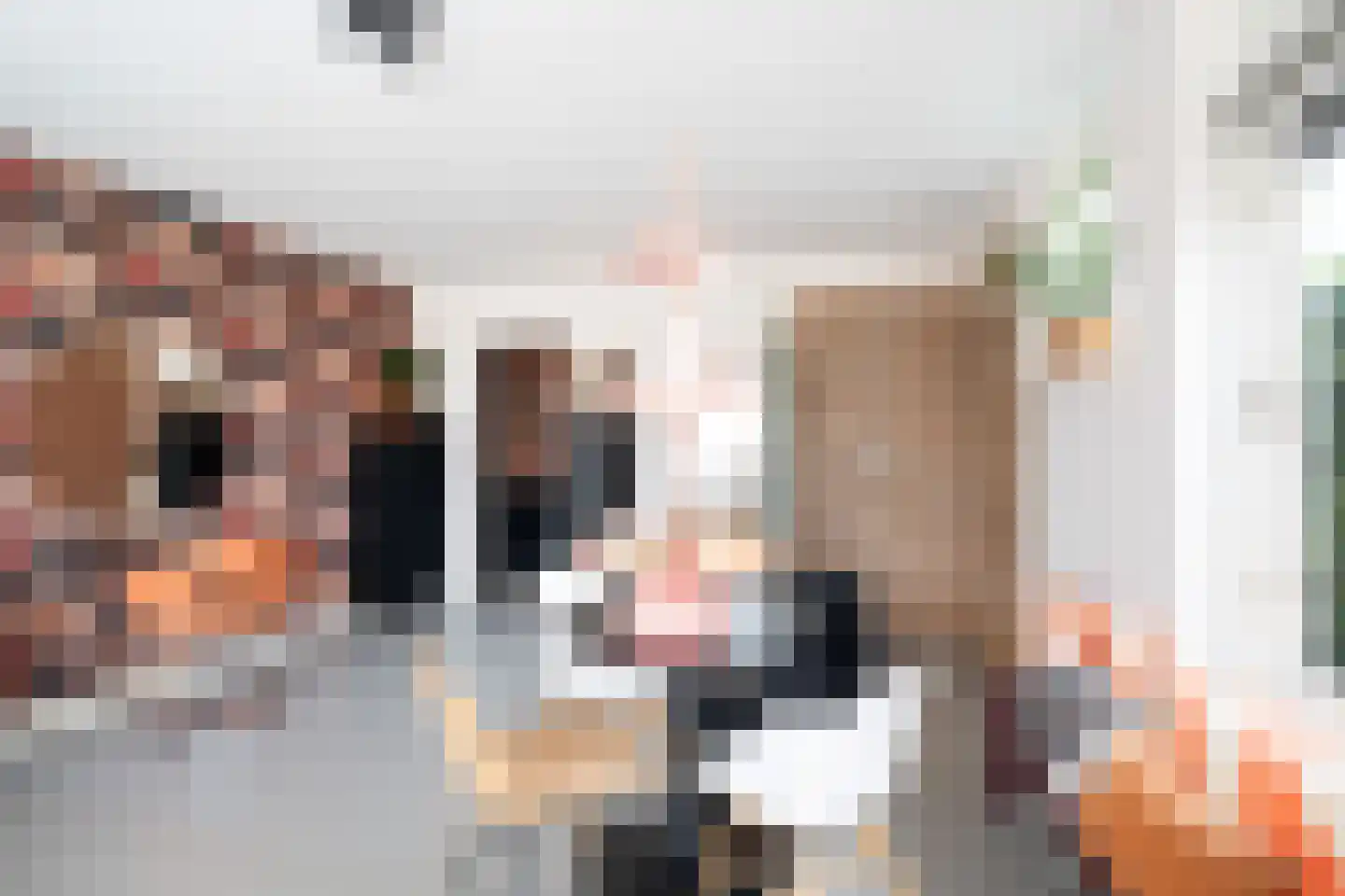 Koraalrood 46 Zoetermeer thumbnail 19