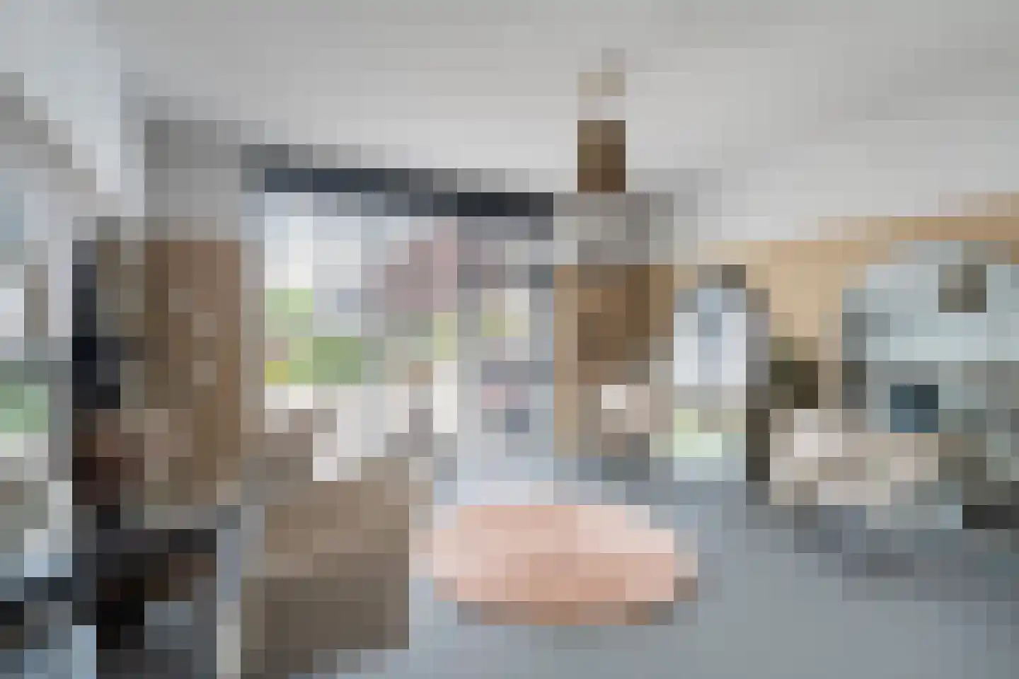 Koraalrood 46 Zoetermeer thumbnail 21