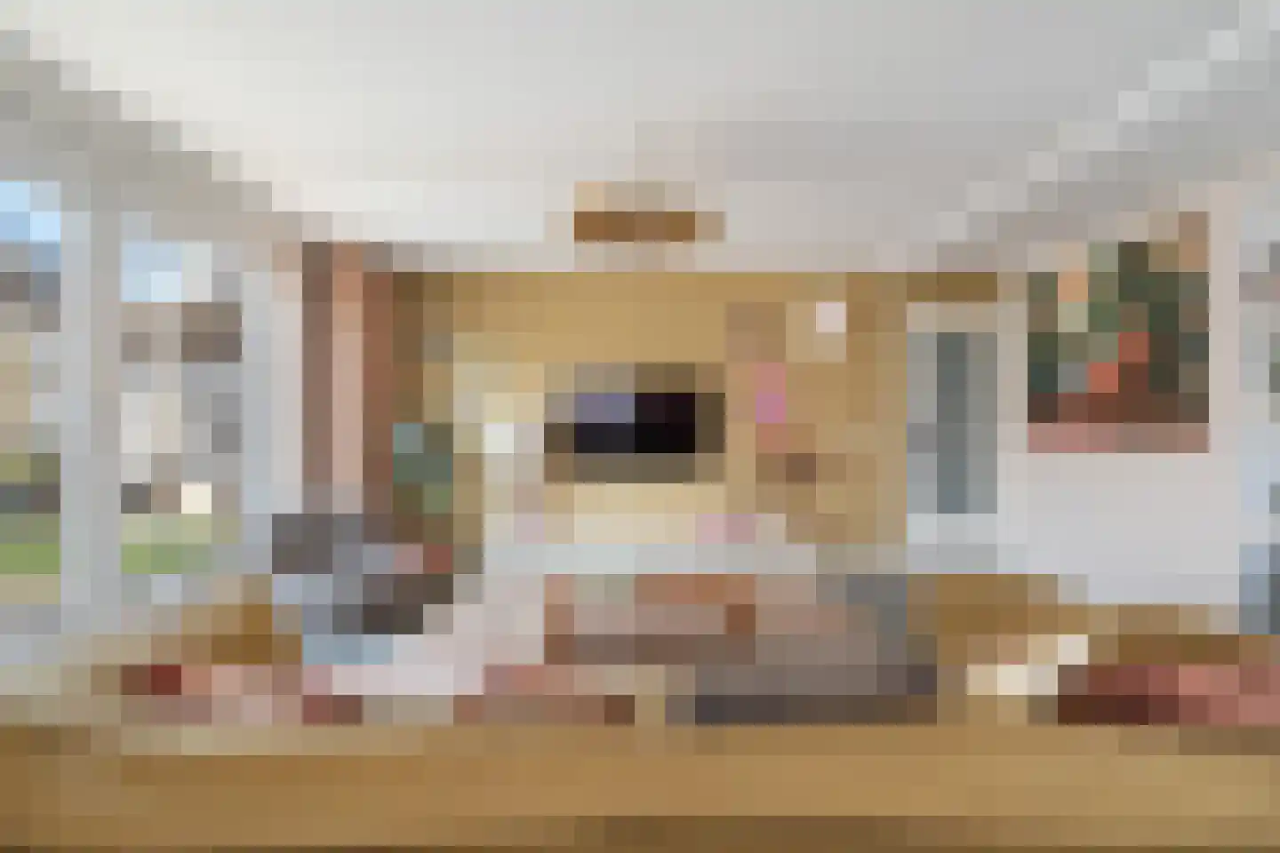 Koraalrood 46 Zoetermeer thumbnail 32