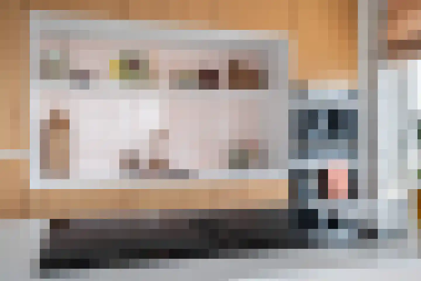 Koraalrood 46 Zoetermeer thumbnail 38