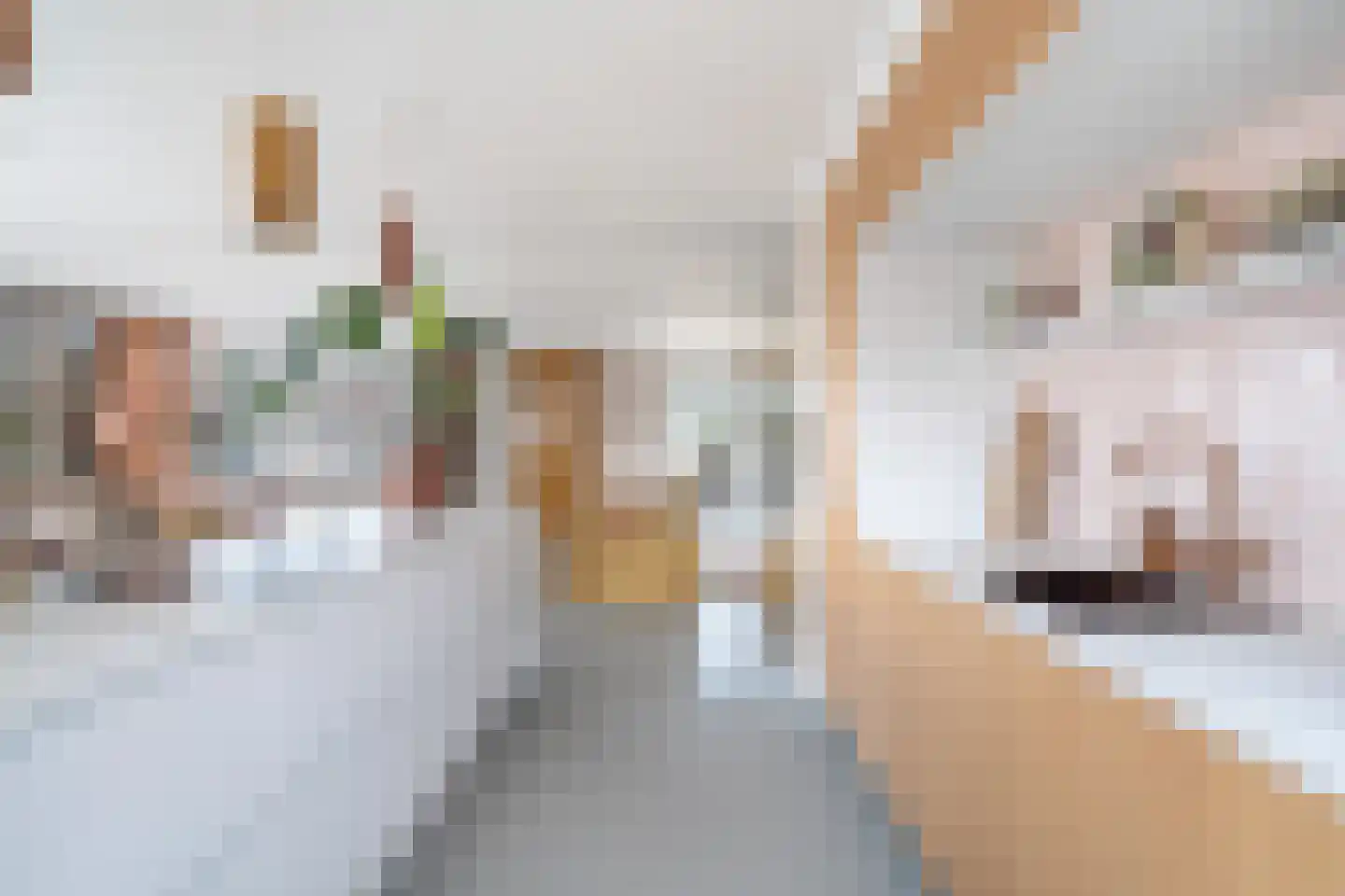 Koraalrood 46 Zoetermeer thumbnail 39