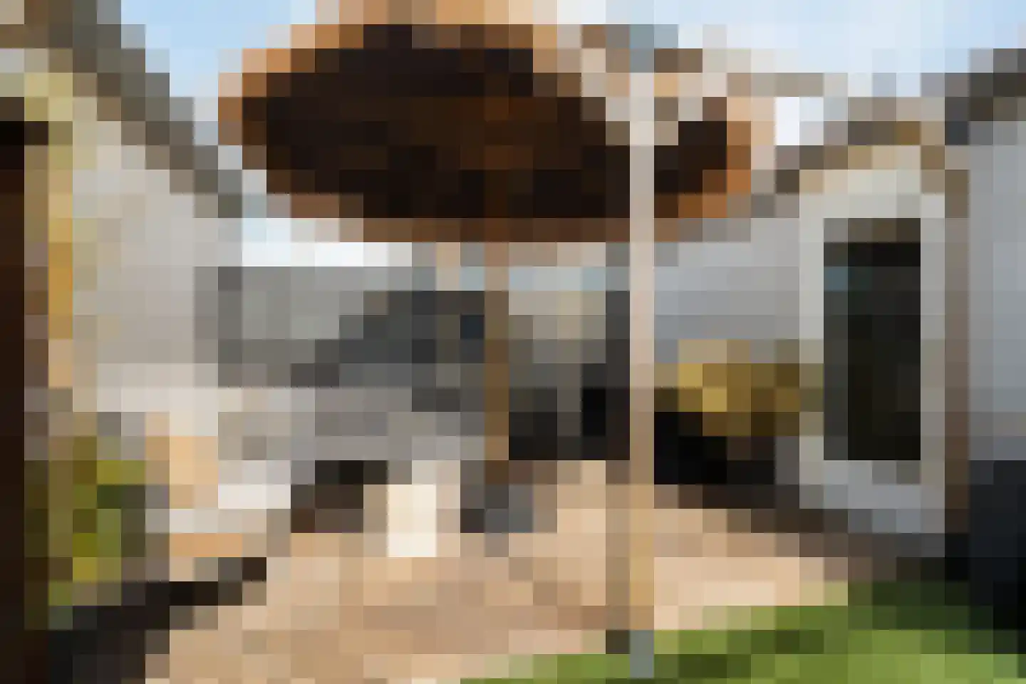 Koraalrood 46 Zoetermeer thumbnail 43