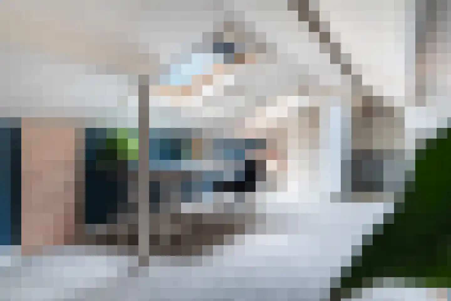 Koraalrood 46 Zoetermeer thumbnail 58