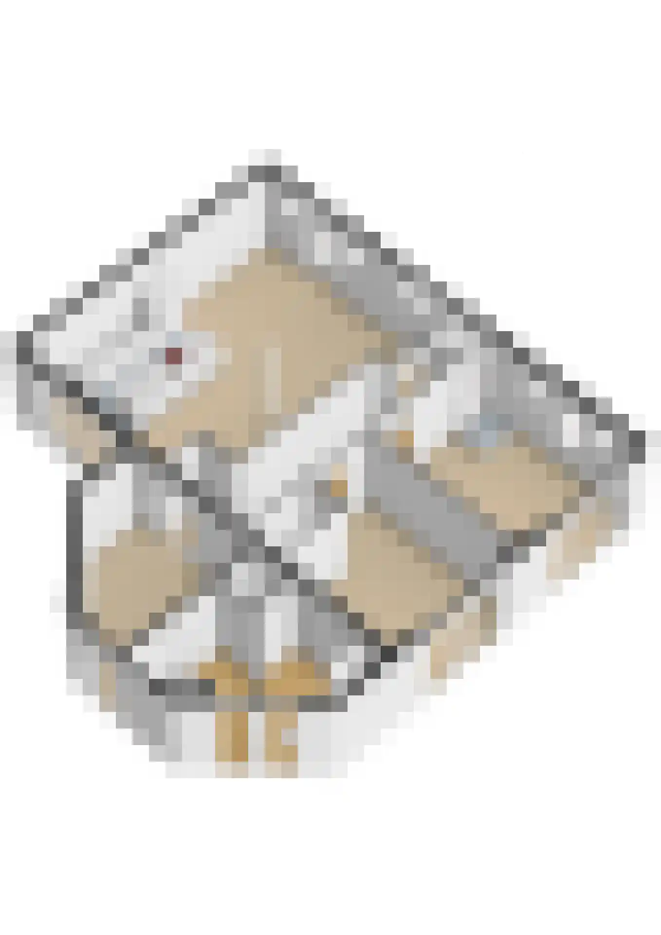 Koraalrood 46 Zoetermeer thumbnail 66