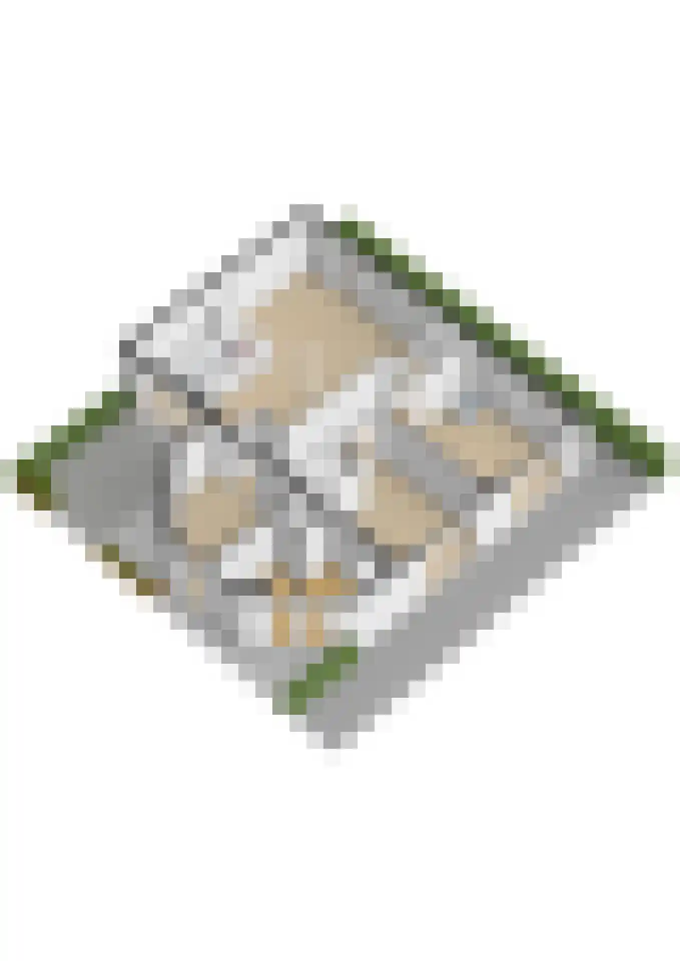 Koraalrood 46 Zoetermeer thumbnail 69