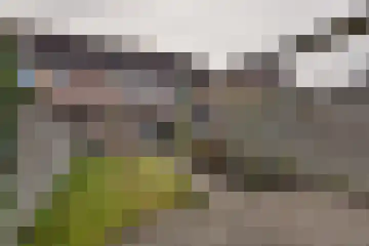 Koraalstoep 7 Assen thumbnail 29