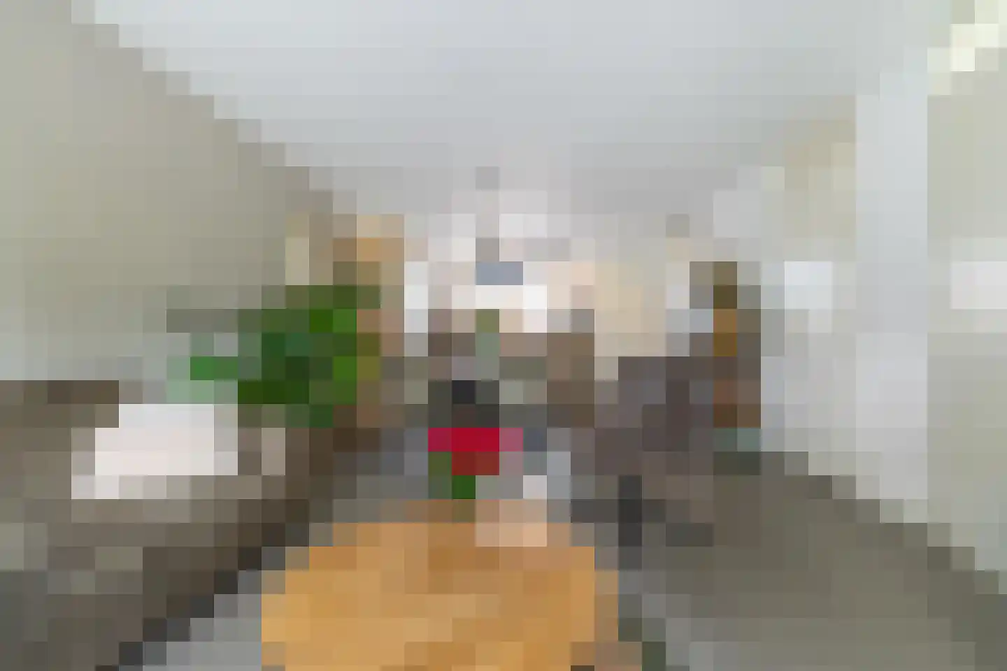 Koraalstoep 71 Assen thumbnail 12