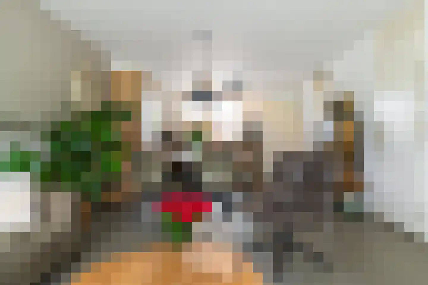 Koraalstoep 71 Assen thumbnail 13