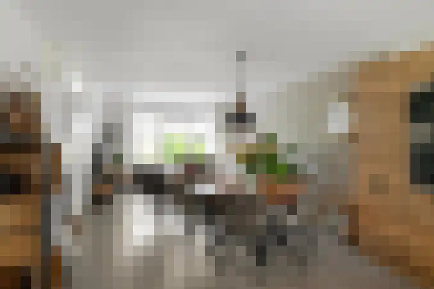Koraalstoep 71 Assen thumbnail 19