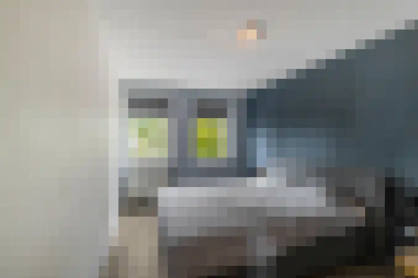 Koraalstoep 71 Assen thumbnail 21