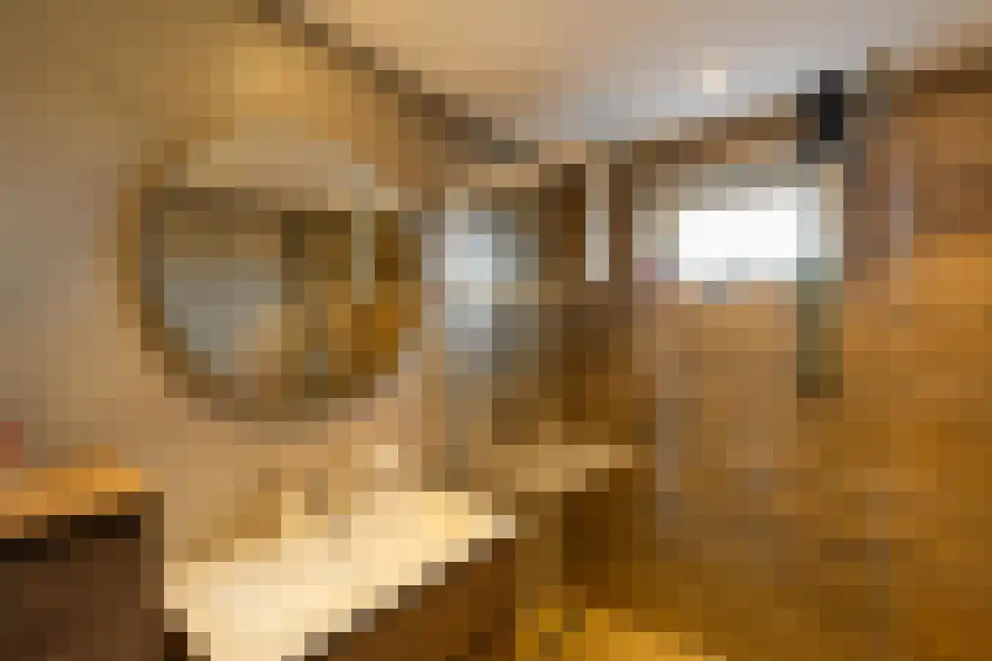 Koraalstoep 71 Assen thumbnail 27