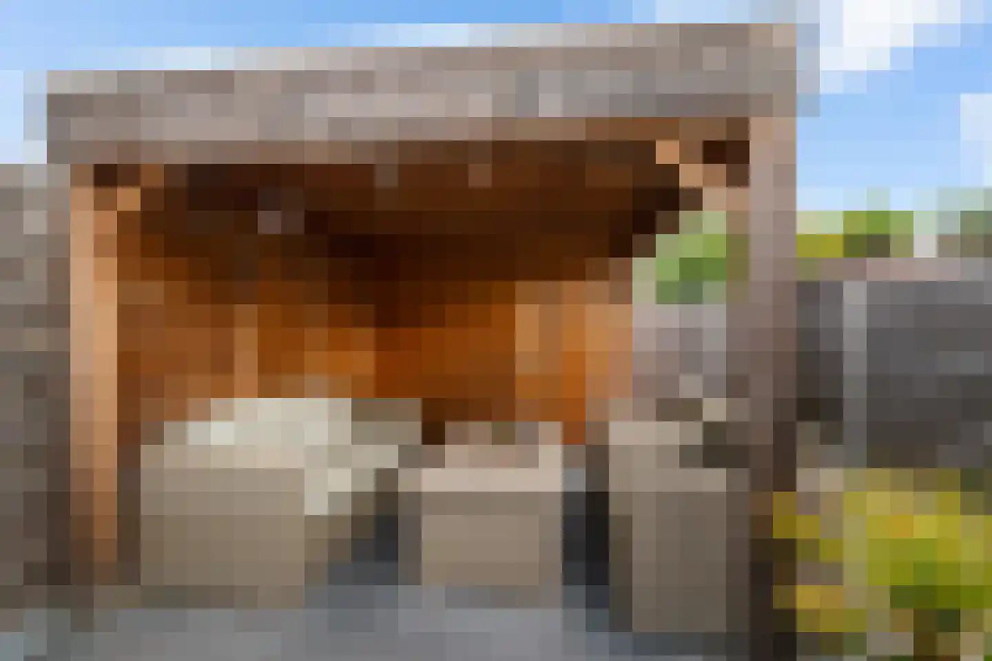 Koraalstoep 71 Assen thumbnail 35