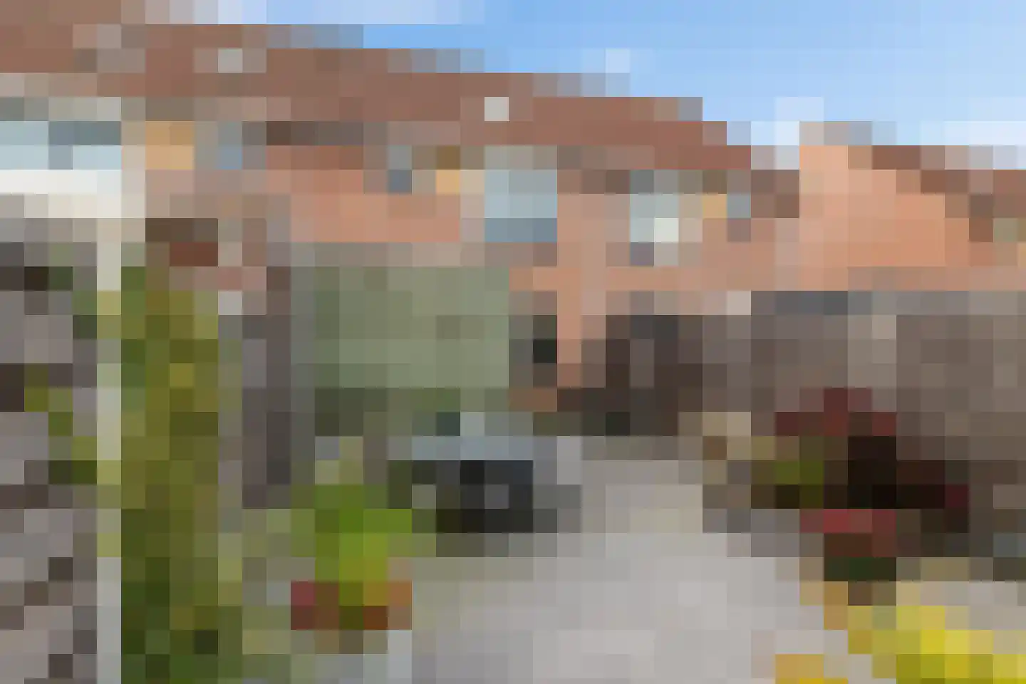Koraalstoep 71 Assen thumbnail 36