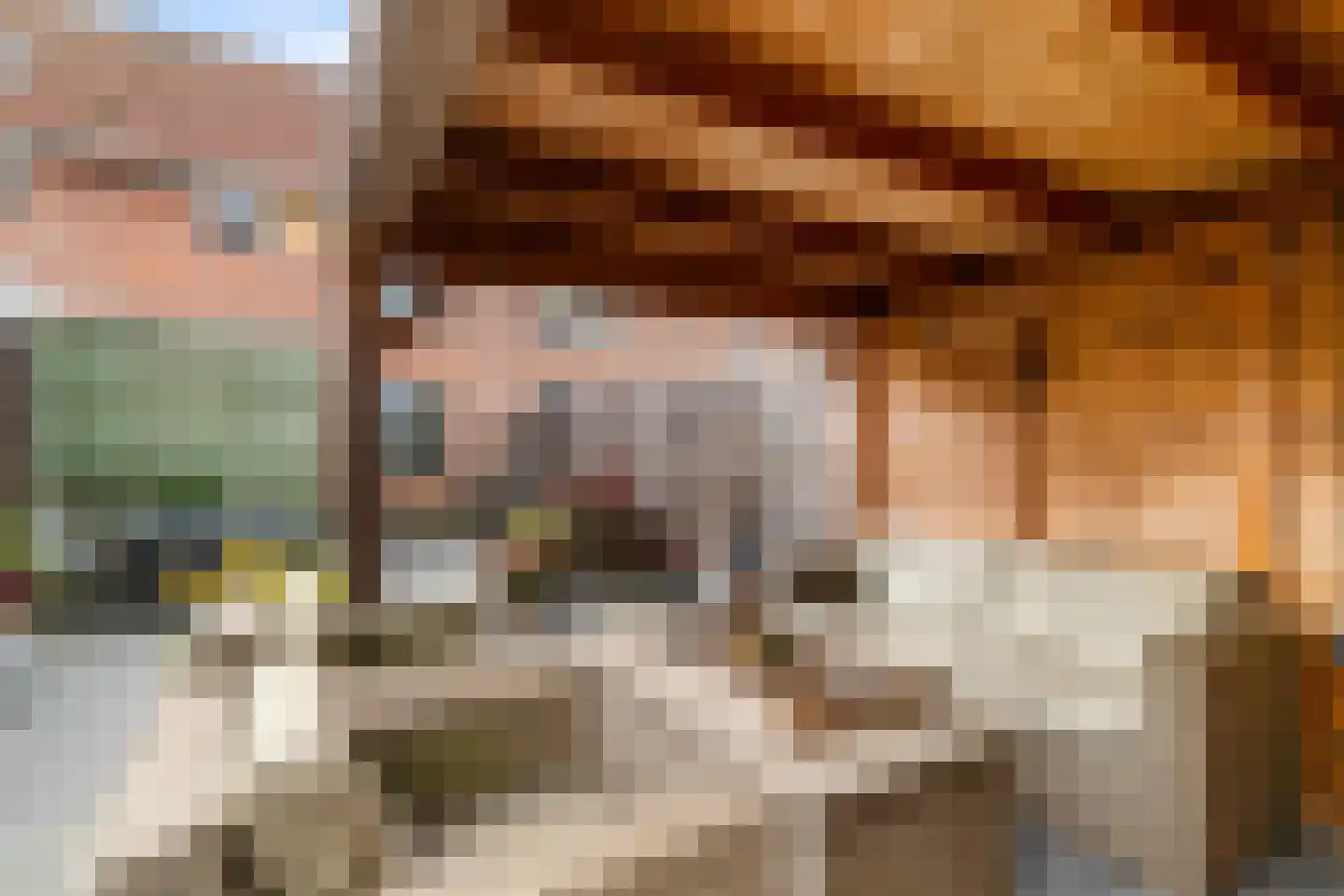 Koraalstoep 71 Assen thumbnail 38