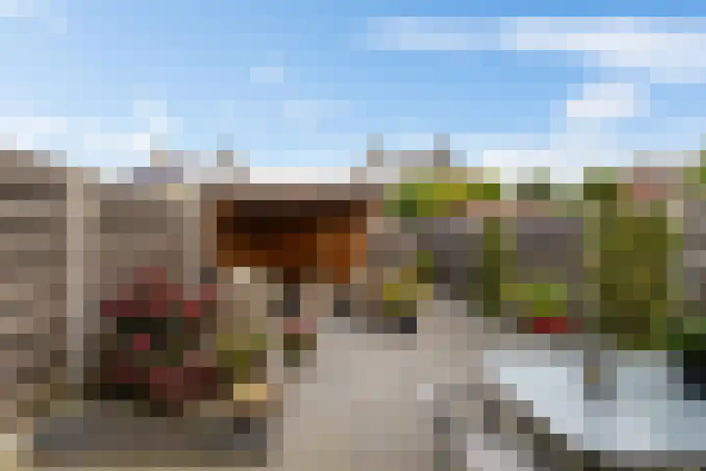 Koraalstoep 71 Assen thumbnail 5