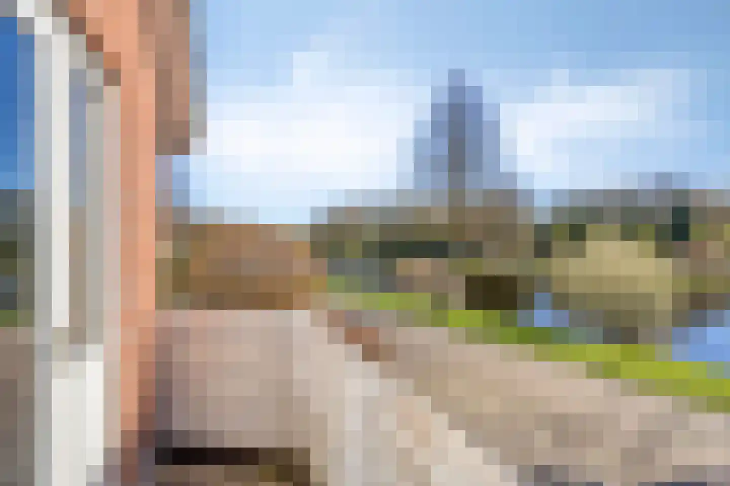 Koraalstoep 89 Assen thumbnail 22