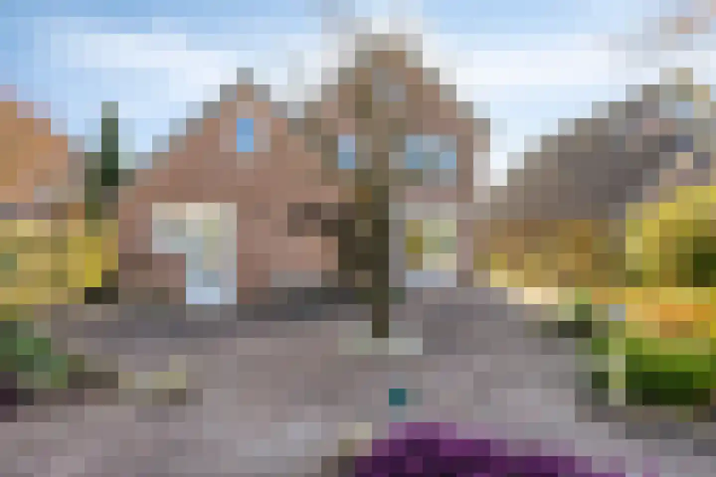 Koraalstoep 89 Assen thumbnail 39