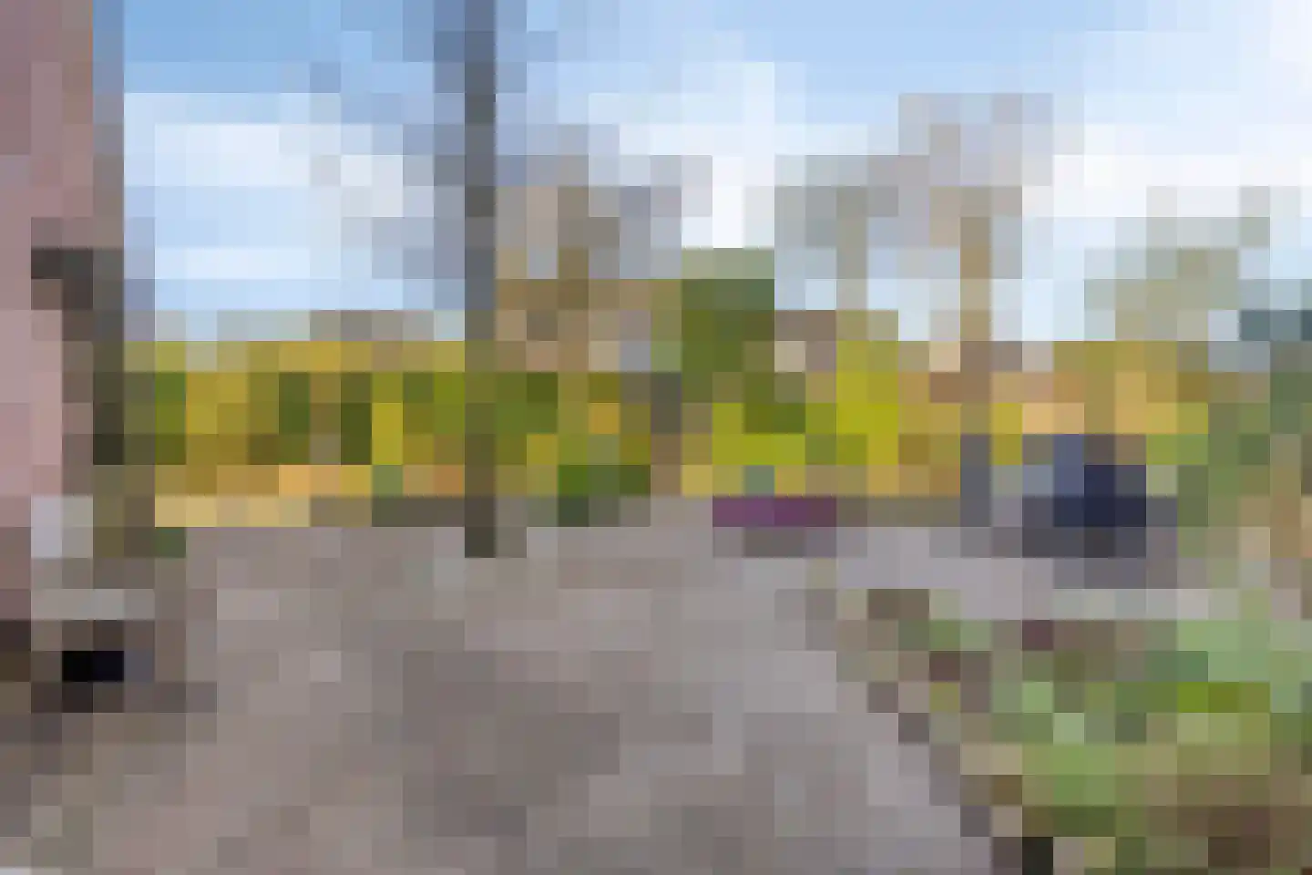 Koraalstoep 89 Assen thumbnail 44