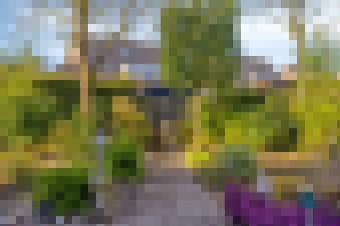 Koraalstoep 89 Assen thumbnail 45
