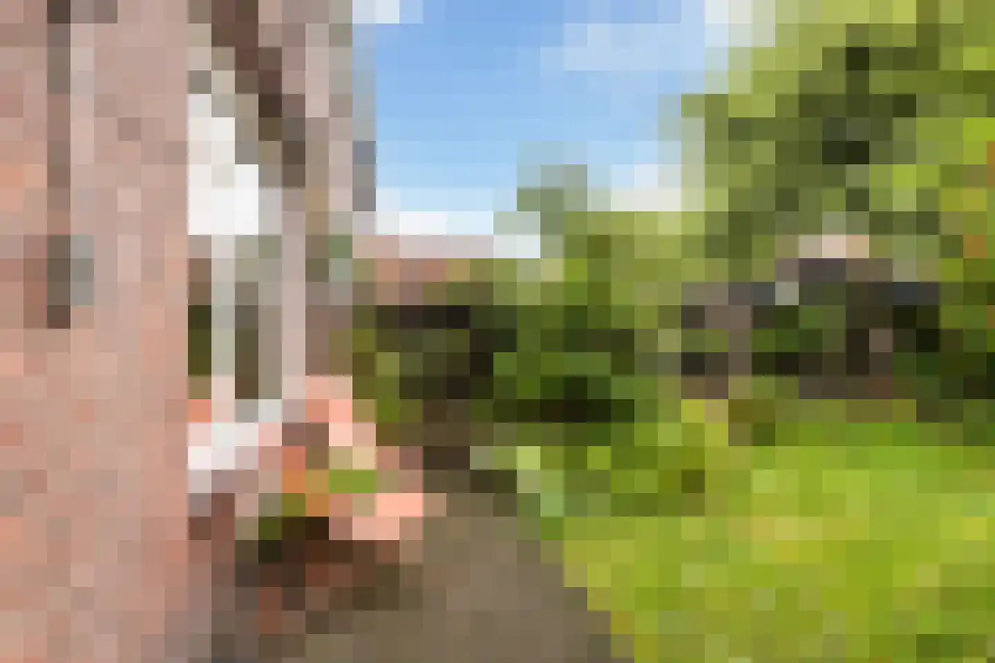 Koraalstraat 23 Breda thumbnail 52