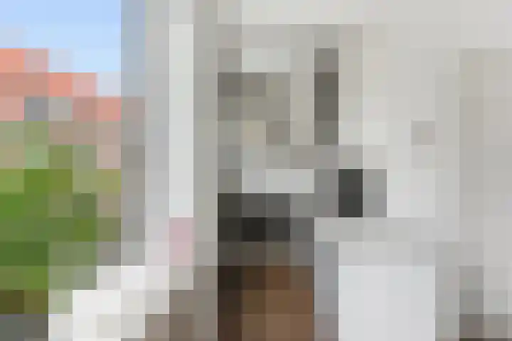 Koraalstraat 3 A Rotterdam thumbnail 5