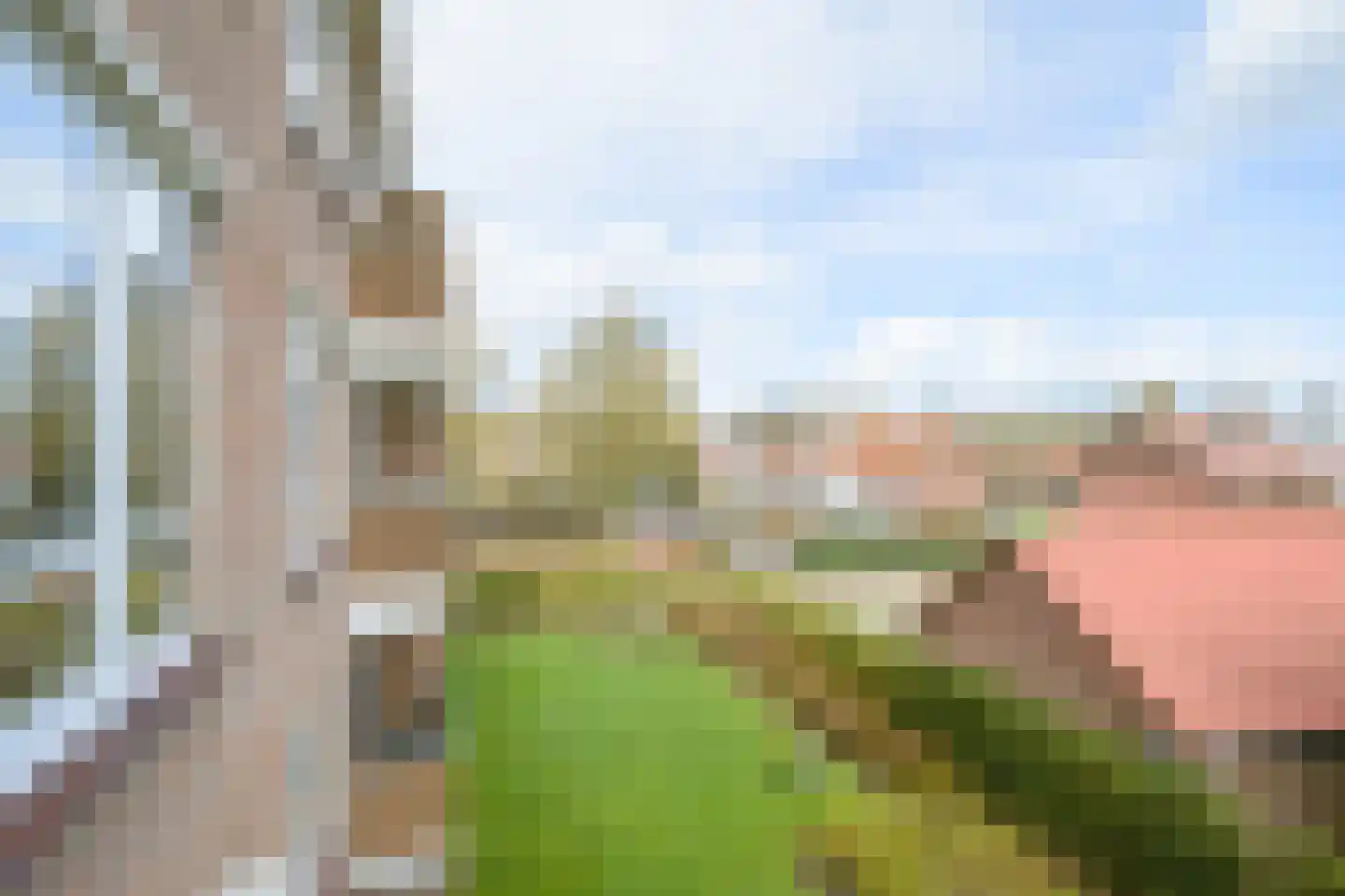 Koraalstraat 31 A Breda thumbnail 29