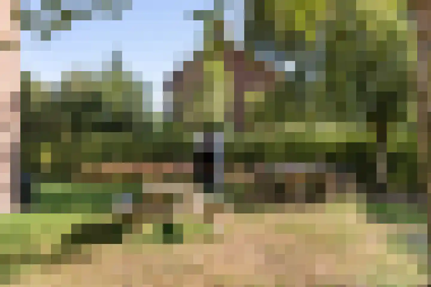 Koraalstraat 33 B Breda thumbnail 32