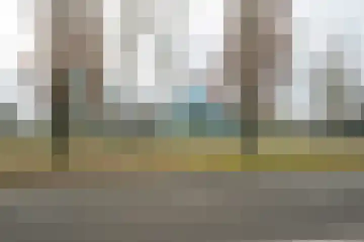 Koraalstraat 47 Breda thumbnail 69