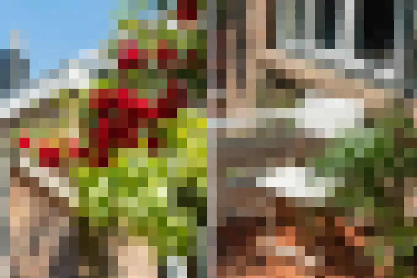 Koraalstraat 5 A Rotterdam thumbnail 13