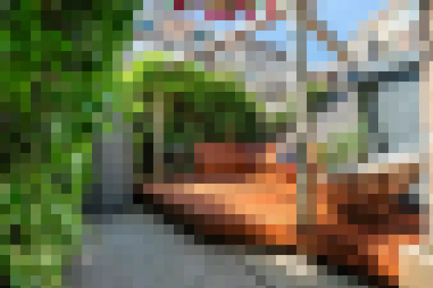 Koraalstraat 5 A Rotterdam thumbnail 14